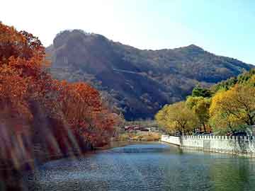 澳门天天免费精准大全，彩铝板